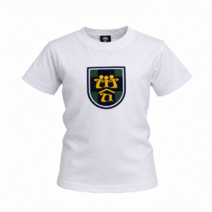 REMERA GYM